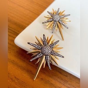 LAST ONE🔥 North Star Earrings | Anthracite & 18K Gold Plated with Zircon